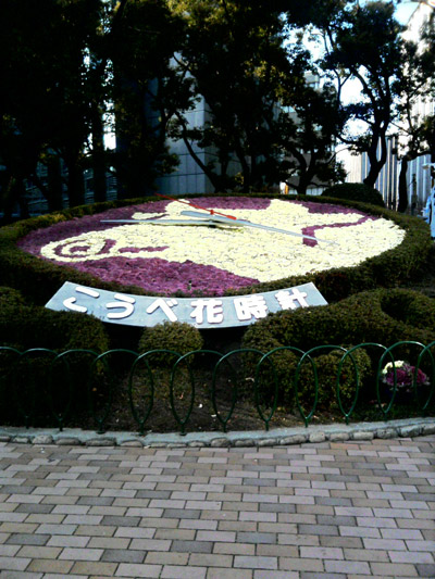 ����������