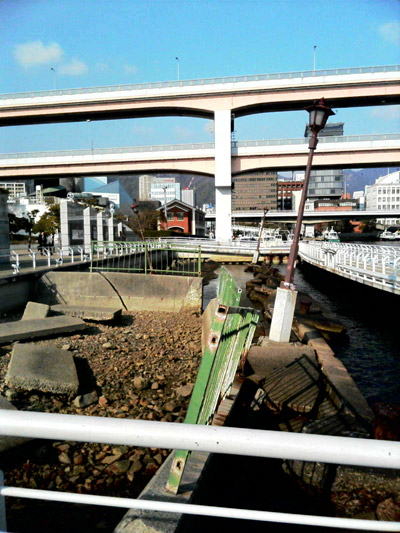 �����̉f����������W����������܂��B