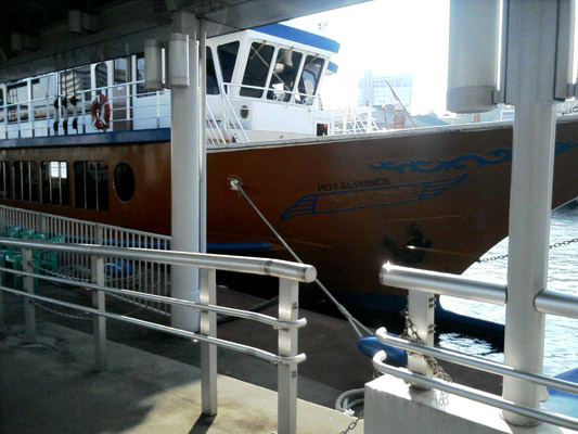 �V���D�̏�A���݂��`��