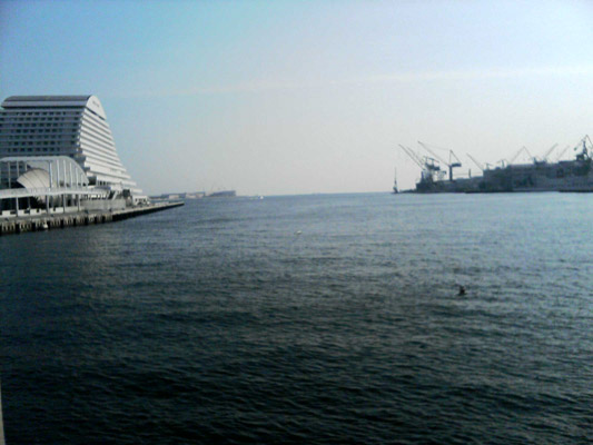 �o�q��̕��i