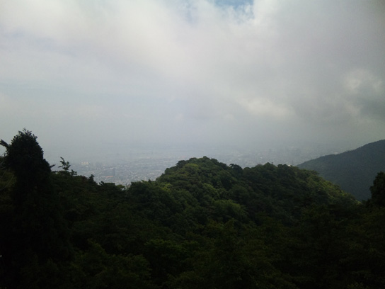 ������ƌ�����