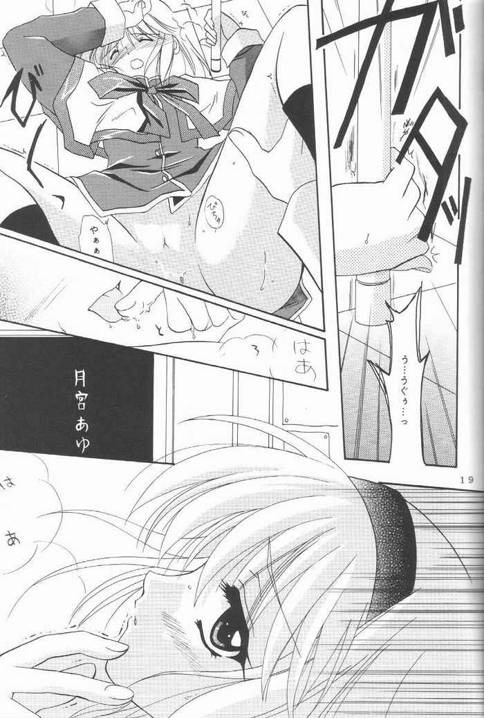 017.jpg