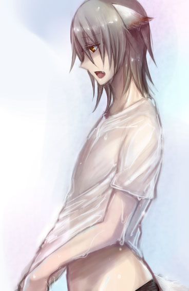 ファイル 223-1.jpg