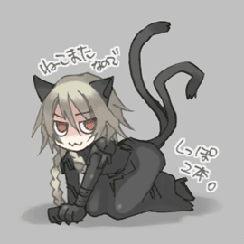 ファイル 45-1.gif