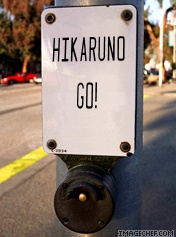 gophoto14.jpg