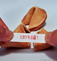 gophoto18.jpg