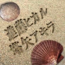 gophoto19.jpg