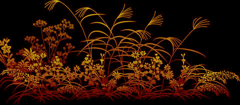 autugrass_c4.jpg
