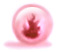 tama_w04.jpg