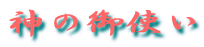 _̌g