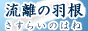 Apoi[