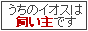 ̃CIX͎ł